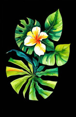 Natural foliage floral background. Monstera leaves and tropical flowers on a black background. Watercolor drawing