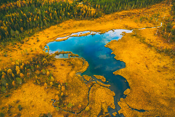 Aerial drone view of fall autumn colors forest by blue lake in rural Finland, Lapland.