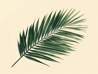 Fototapeta premium Single green palm leaf with soft yellow background.