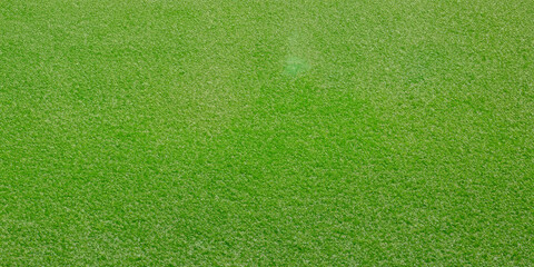 Vibrant green grass background - lush lawn texture for nature and outdoor designs