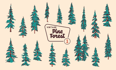 Pine Tree Vector Illustration Set - Hand-Drawn Vintage Mid-Century Style Designs.