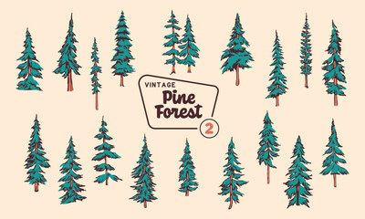 Pine Tree Vector Illustration Set - Hand-Drawn Vintage Mid-Century Style Designs.