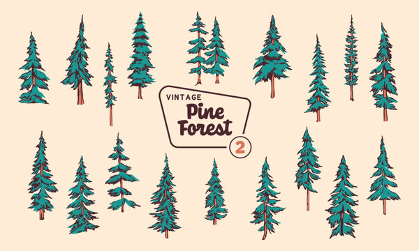 Pine Tree Vector Illustration Set - Hand-Drawn Vintage Mid-Century Style Designs.