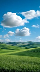 Fototapeta premium Green hills and fluffy clouds under a bright blue sky