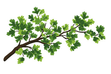 Tree branches silhouette isolated on white background. Vector illustration forest design and element landscape season. Autumn clip art and decoration abstract outdoor