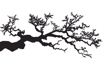 Tree branches silhouette isolated on white background. Vector illustration forest design and element landscape season. Autumn clip art and decoration abstract outdoor