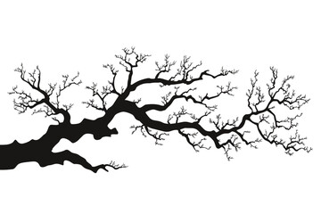 Tree branches silhouette isolated on white background. Vector illustration forest design and element landscape season. Autumn clip art and decoration abstract outdoor