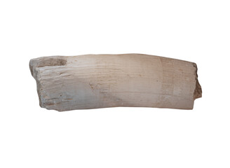 ancient mammoth tusk on white, isolated