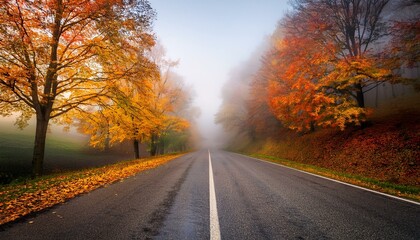 Obraz premium Wide shot of a foggy road lined with colorful trees 