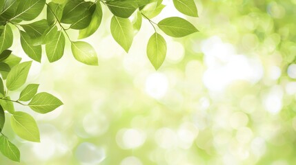 Naklejka premium Green Leaf Border with Bokeh Background Nature Wallpaper Spring Nature Natural Texture Green Leaves Background
