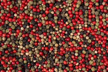 A mixture of different peppercorns white, black, red and green peppers spices.