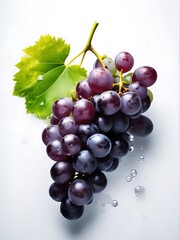 Fototapeta premium Fresh ripe purple red Grapes