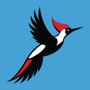 recommend clip art: Solid color Ivory-billed woodpecker animal vector design