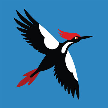 recommend clip art: Solid color Ivory-billed woodpecker animal vector design