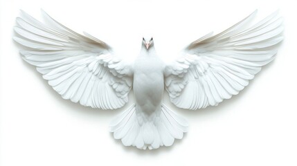 Fototapeta premium White Dove Icon on White Background - Symbol of Peace and Purity