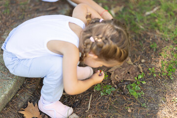 Little girl picking wild strawberries in the forest