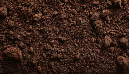 Fertile soil texture background seen from above, top view. Gardening or planting concept with copy space. Natural pattern