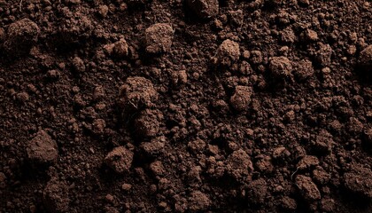 Fertile soil texture background seen from above, top view. Gardening or planting concept with copy space. Natural pattern