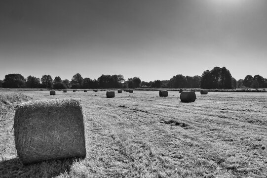 Heuballen - Stroh - Heu - Ernte - Sommer - bales of hay - Strohballen - Heuballen - Heu - Stroh - field - harvest - summer - straw - farmland - blue cloudy sky - golden - beautiful