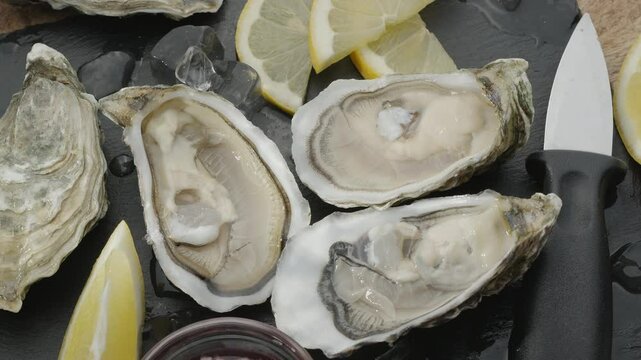 Fresh raw edible oysters, popular shellfish seafood close-up. Mollusk marine oysters.