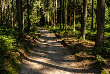 Fototapeta premium National Park of Adrspach Teplice rocks. Beautiful limestone sandstones rocks in Adrspach, Czech Republic. Adrspach Teplice Rocks mountain range in Central Sudetes part of the Table Mountains.