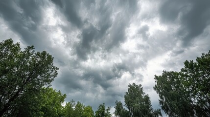 Obraz premium Dramatic Stormy Sky with Lush Green Treetops