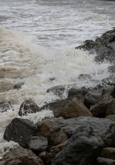 new Brighton 