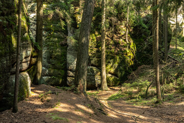 Obraz premium National Park of Adrspach Teplice rocks. Beautiful limestone sandstones rocks in Adrspach, Czech Republic. Adrspach Teplice Rocks mountain range in Central Sudetes part of the Table Mountains.