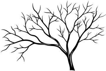 Tree branches silhouette isolated on white background. Vector illustration forest design and element landscape season. Autumn clip art and decoration abstract outdoor