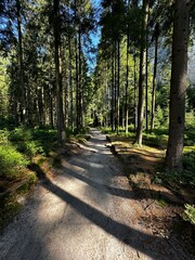 National Park of Adrspach Teplice rocks. Beautiful limestone sandstones rocks in Adrspach, Czech Republic. Adrspach Teplice Rocks mountain range in Central Sudetes part of the Table Mountains.