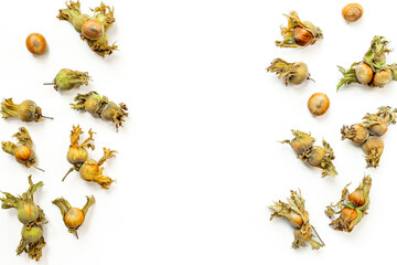 Hazelnut harvest time. Fresh hazelnuts with leafy shells, top view