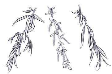 a set of black and white hand drawings of birch branches vector © TanyaArt