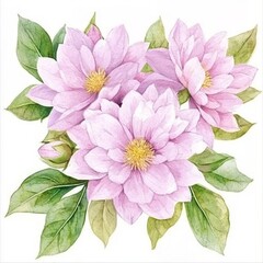 Isolated watercolor illustration of Flowers Chrysanthemums for design of invitations, movie posters, fabrics, and other objects. Set of four.