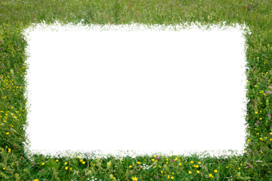 Picture frame overlay consisting of a green alpine meadow with a white background.