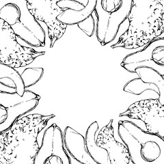 Hand drawn vector ink green avocado vegetable for diet and healthy lifestyle, vegan cooking. Illustration square border frame isolated on white background. Design recipe book, website, card, menu