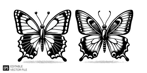 Obraz premium butterfly set illustration graphic design black and white vector clip art silhouette