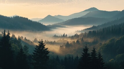 Obraz premium Misty Mountain Sunrise