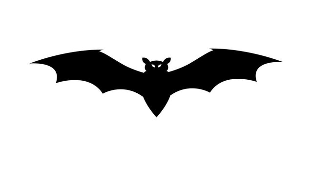 white screen flying bat silhouette. Halloween concept	
