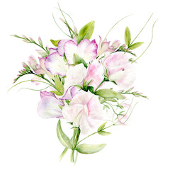 Isolated Illustration. Bouquet of watercolor flowers of Fragrant Peas on a white background. The watercolor illustration is hand drawn. Suitable for card designs, textiles and scrapbooking.