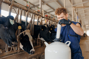 Artificial insemination of cows. Vet doctor use tank liquid nitrogen with bull sperm, of industry...