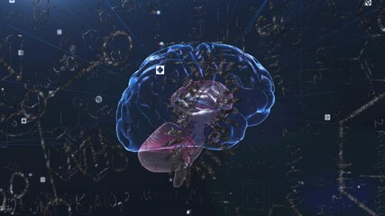 Human brain animation over mathematical equations and scientific data - Powered by Adobe