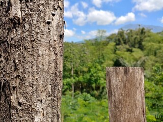 wooden trunk with blurred background of blue sky with clouds