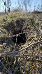 burrow and cellar in the field