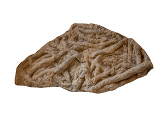 worm tracks  fossil  in the stone on white, isolated