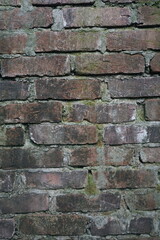 Green moss brick layer closeup view texture background, A bunch of green moss grown on a damaged brick wall, Mossy Weathered backdrop