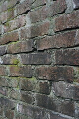 Green moss brick layer closeup view texture background, A bunch of green moss grown on a damaged brick wall, Mossy Weathered backdrop