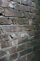 Green moss brick layer closeup view texture background, A bunch of green moss grown on a damaged brick wall, Mossy Weathered backdrop