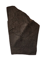 fossil of Ammonite in the stone on white, isolated