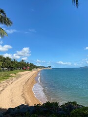 beach with palm trees