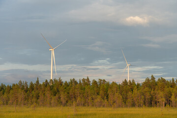 Windmills on a beautiful and calm summer evening in Northern Finland
